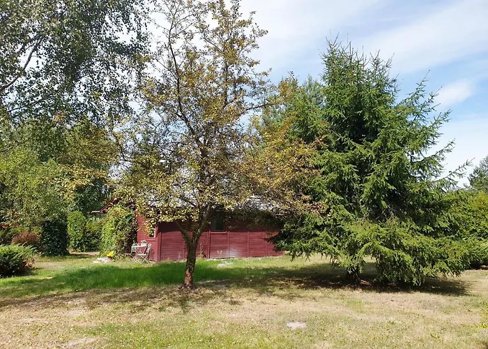 Domek Letniskowy Nowy Prazmow